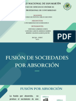 PPT. FUSION S. POR ABSORCION (G5)