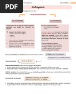 Resumos Ginecologia II