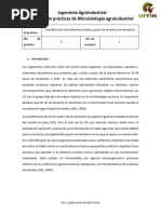 Práctica 3 - Microbiología Agroindustrial