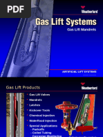 2.gas Lift Mandrels