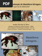 Anestesia de Mamíferos Selvagens