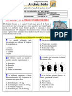 Plan Lector #3 - 3° - Matemáticas