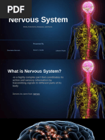 Nervous System 1