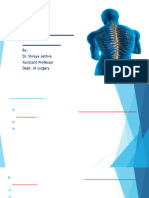 Vertebral Column