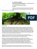 Plant Soil Interactions Nutrient Uptake