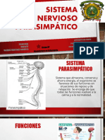 Sistema Nervioso Parasimpático-1