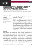 Intranasal Administration of Lactobacillus Rhamnosus GG Protects Mice From H1N1 Influenza Virus Infection by Regulating Respiratory Immune Responses