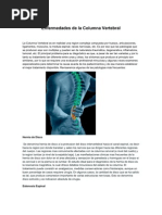 Enfermedades de La Columna Vertebral