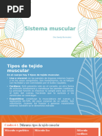 Sistema Muscular