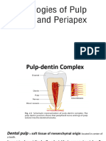 Pathologies of Pulp and Periapex