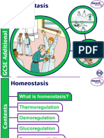 Lesson 11 Homeostasis