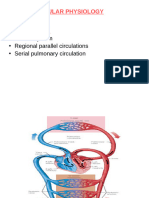 Cardiovascular Physiology 1