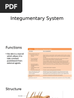 LESSON5 Integumentary System