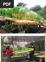 4.manejo de Una Huerta Hidroponica