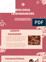 Pink Illustrative Organic Biology Project Presentation - 20241006 - 173521 - 0000