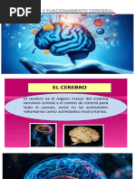 Neurociecias y Func. Cerebral 17 y 18 Julio