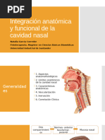 Anatomía y Fisiología de La Cavidad Nasal