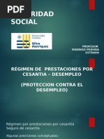 Seguridad Social (Parte IV) AFC