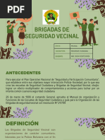 Brigadas de Seguridad Vecinal