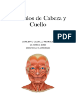 Músculos de Cabeza y Cuello Lu