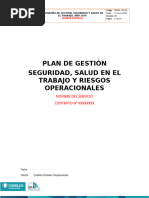 PLAN SST - DCH-AÑO 2024 .Rev Mar