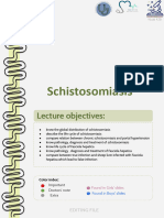 L13 Schistosomiasis