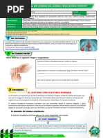 Actividad de 4°-Sistema Circulatorio