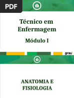 ENF Aula 10 - Sistema Nervoso + Endócrino