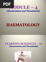 MUNSANJE - Haemostasis and Thrombosis LS 14