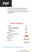 Stucture of Bacterium