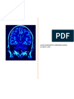 La Historia de La Neuropsicología