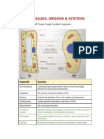 Cells, Tissues, Organs & Systems