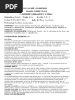 Copia de Documento y Guía de Trabajo de Biología de 11mo Grado. (08 Al 12-07-2024)