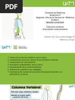 Columna Vertebral