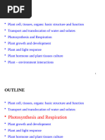 Photosynthesis Vs Cellular Respiration