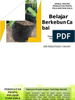 Modul Projek Kearifan Lokal - Belajar Berkebun Cabai - Fase B