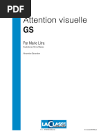 Attention Visuelle Gs-Nov Dec