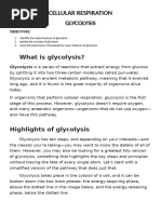 Topic 6. Cellular Respiration Glycolysis