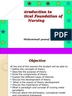 Introduction To Nurisng Theories