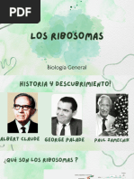 Los Ribosomas