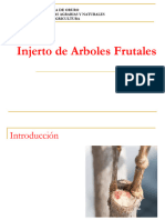 Injertos