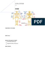 Topic 3 The Skeletal System