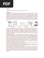 Modulo Hongos