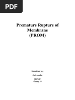 Premature Rupture of Membrane (PROM) : Submitted By: Joel Antolin Bsn4C Group 10