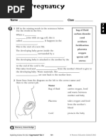 L7 7Bd4, Pregnancy Worksheet