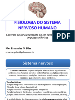 04 - Sistema nervoso (1)