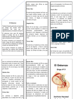 Trifoliar El Embarazo 2