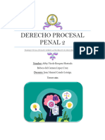 Derecho Procesal Penal 2 Trabajo Final