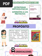 Estrategias Metodológicas Diferentes A Los Proyectos