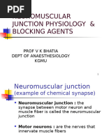 Neuro Muscular Junction